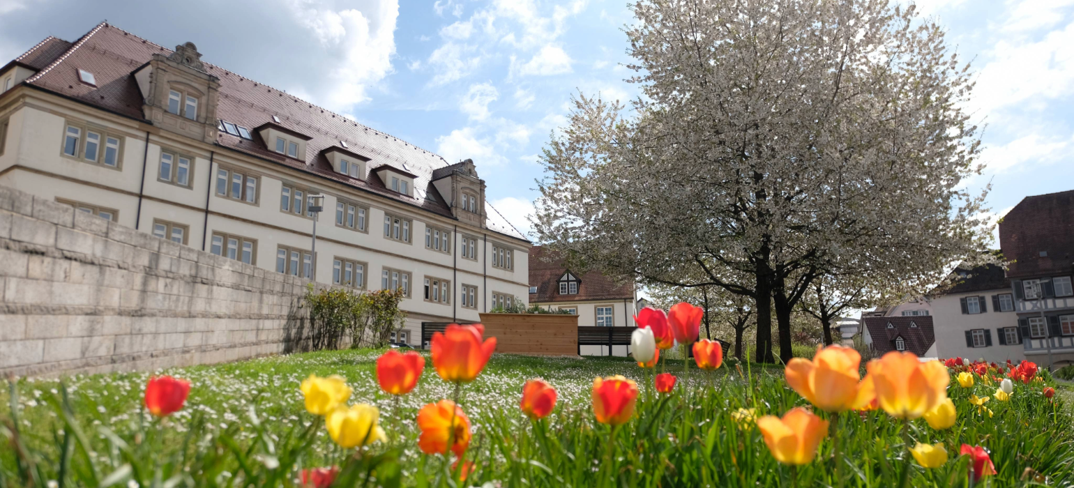 Startseite Stadt Backnang